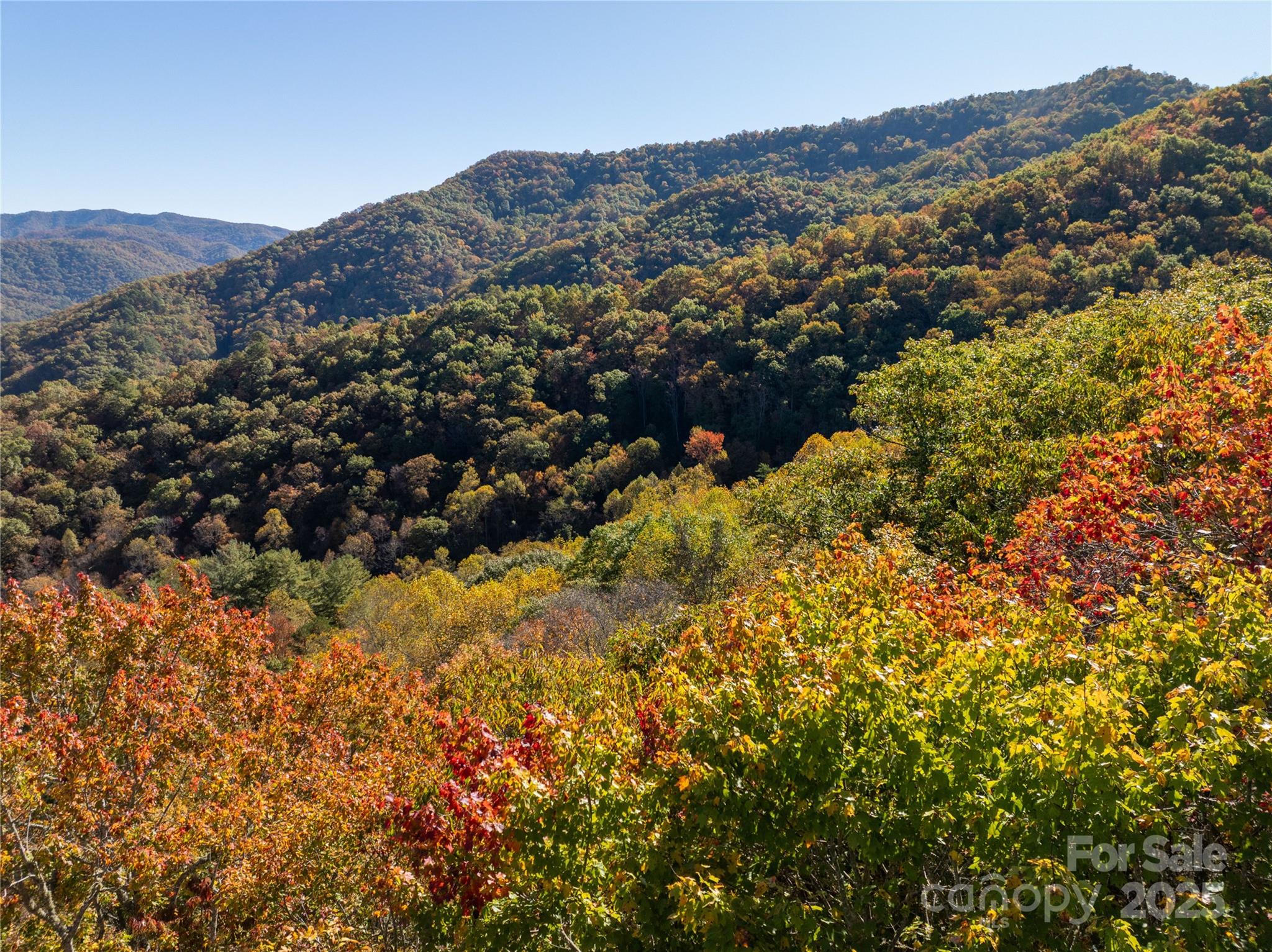 999 Cullisia Road Bryson City, NC 28713 - Photo 5 of 11 a view of city and mountain