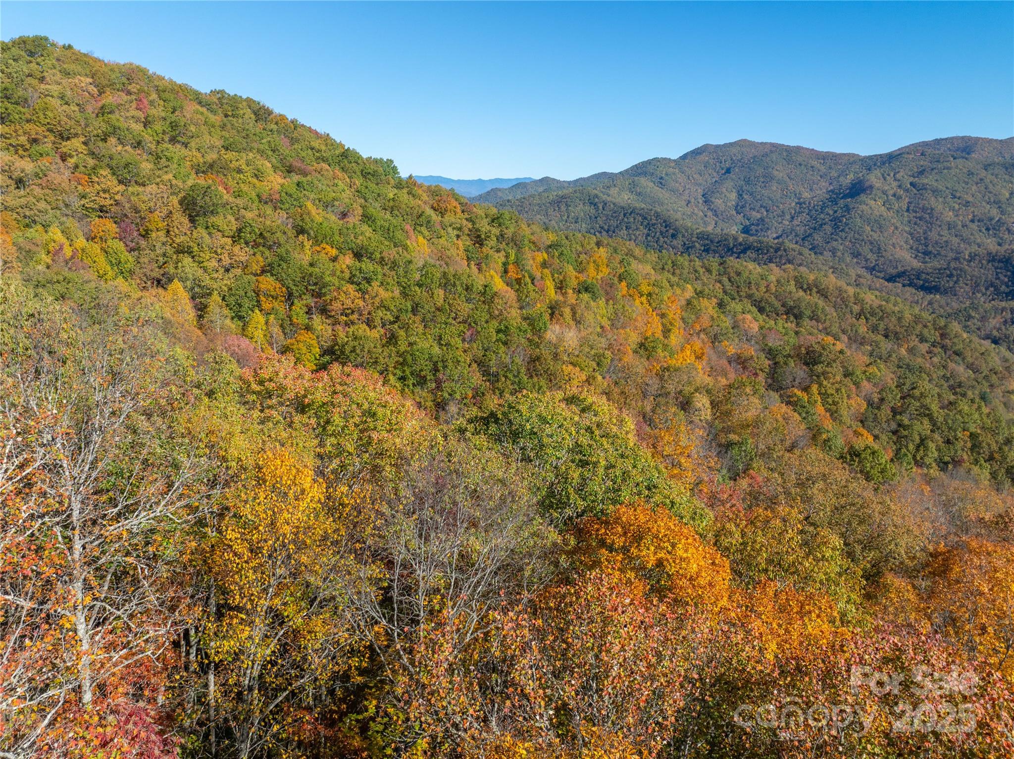 999 Cullisia Road Bryson City, NC 28713 - Photo 7 of 11 a view of mountain and a mountain