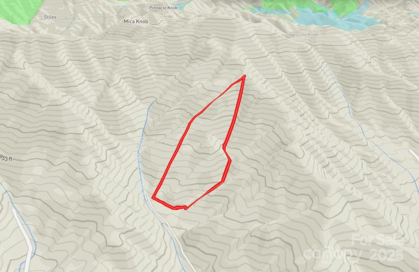 999 Cullisia Road Bryson City, NC 28713 - Photo 10 of 11 a view of a backyard