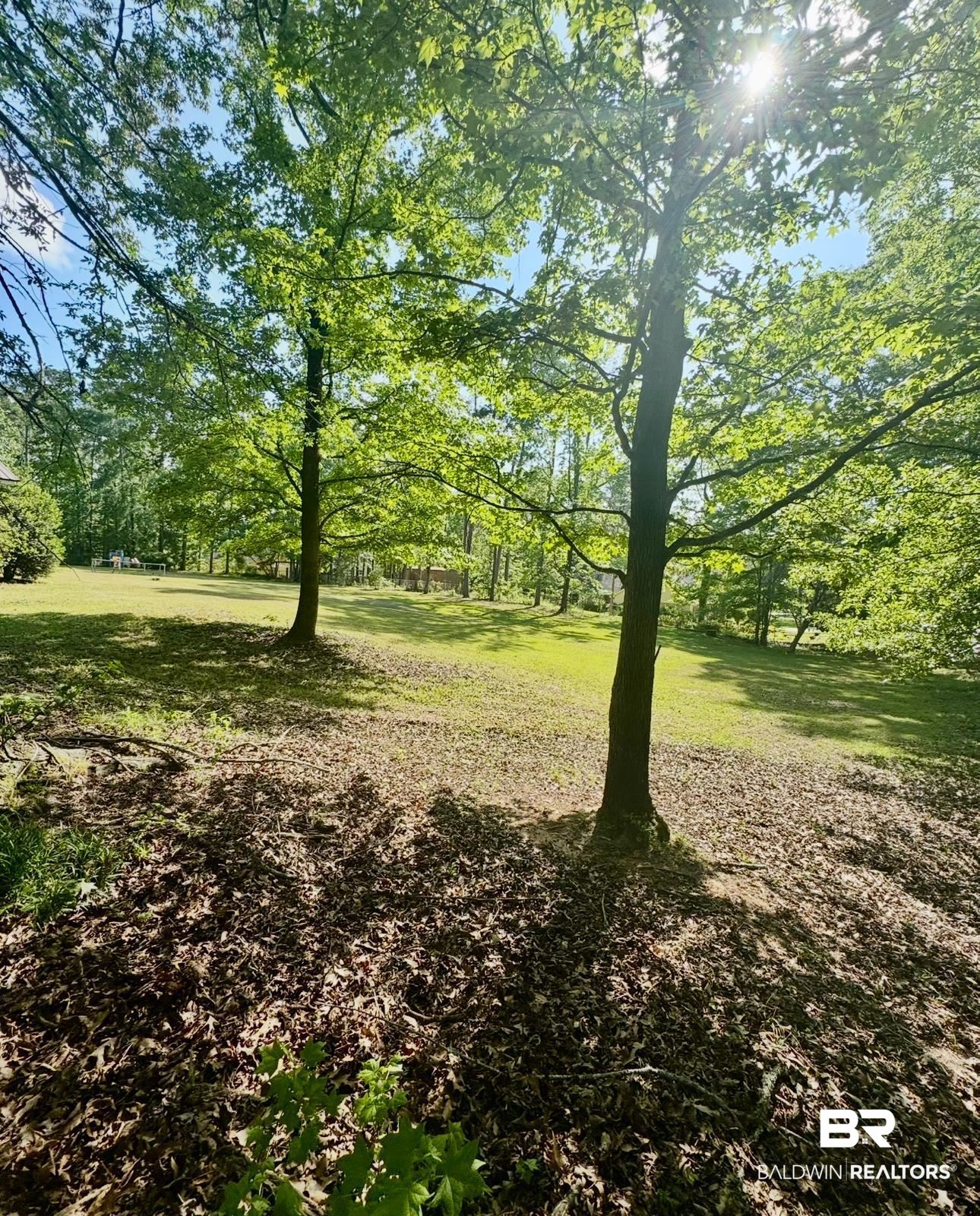 701 Forest Drive Greenville, AL 36037 - Photo 8 of 30