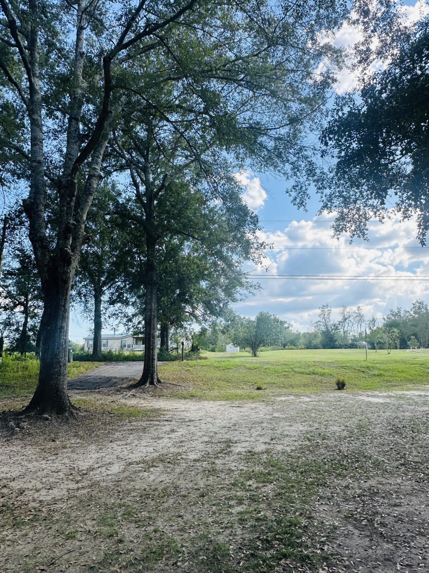 1980 Williams Ditch Road Cantonment, FL 32533 - Photo 16 of 18 a view of a green field with lots of bushes