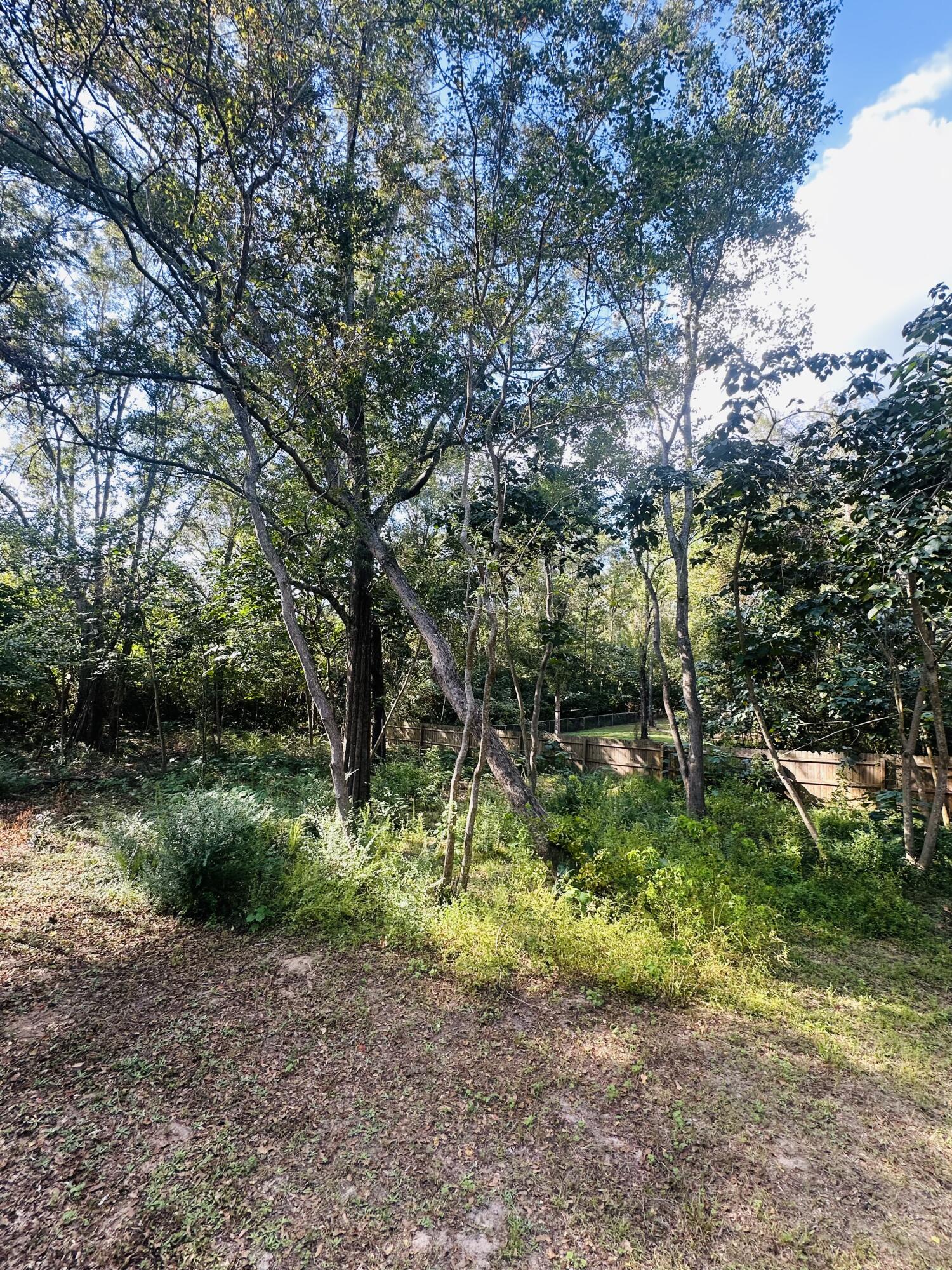 1980 Williams Ditch Road Cantonment, FL 32533 - Photo 18 of 18 a backyard of a house with lots of green space