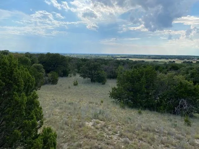 a view of a yard with trees in the background