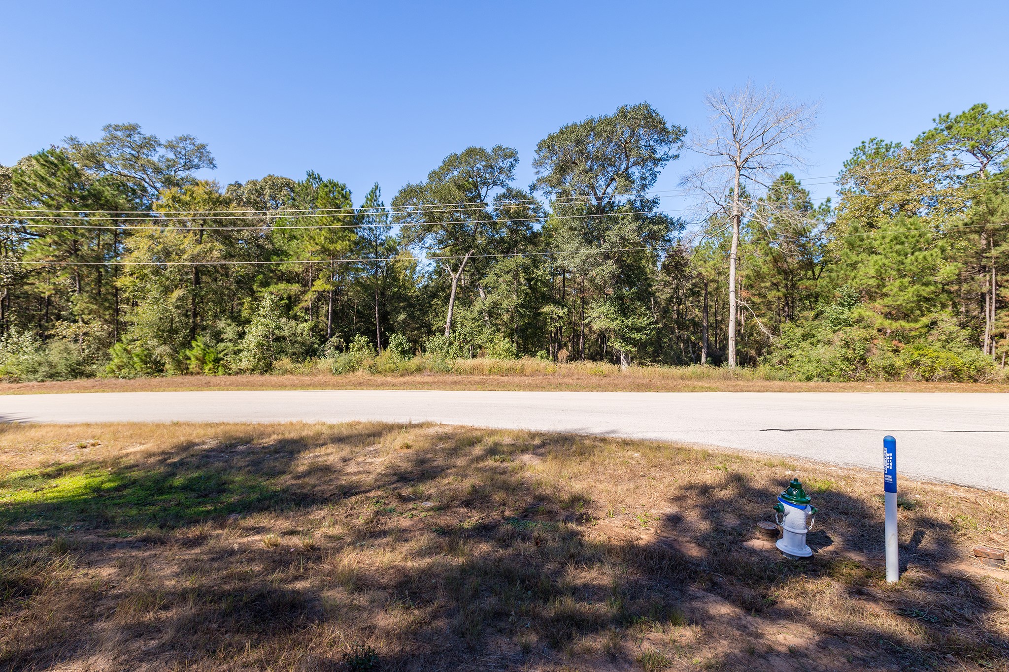 127 Inscription Lane Huntsville, TX 77340 - Photo 11 of 16 a view of yard with large trees