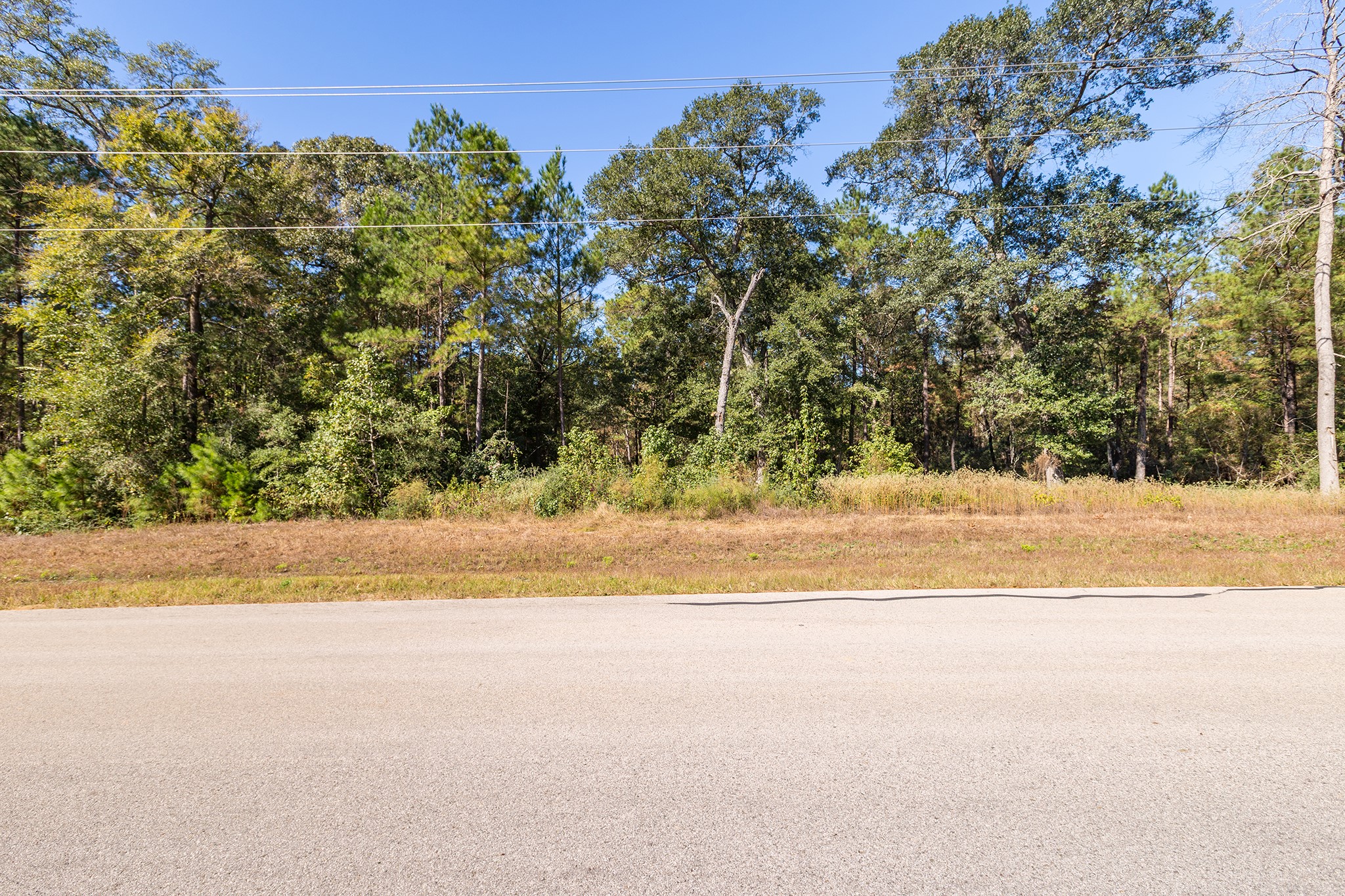 127 Inscription Lane Huntsville, TX 77340 - Photo 15 of 16 a view of a yard with a house