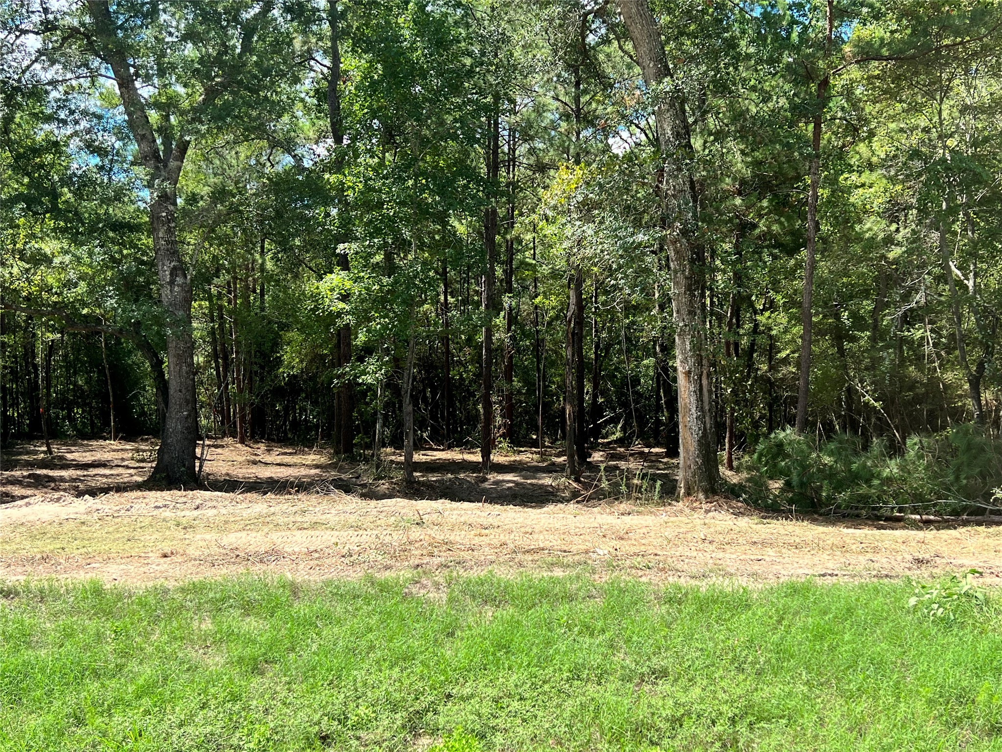 127 Inscription Lane Huntsville, TX 77340 - Photo 2 of 16 a house with trees in the background