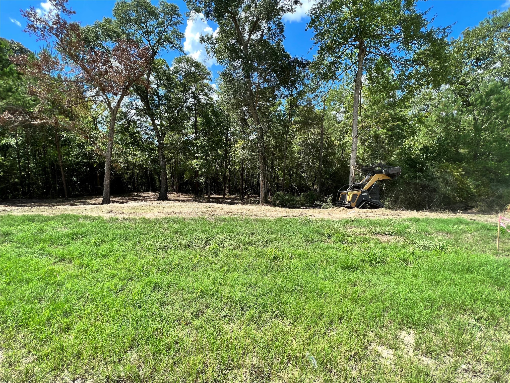 127 Inscription Lane Huntsville, TX 77340 - Photo 3 of 16 a view of outdoor space with green field and trees