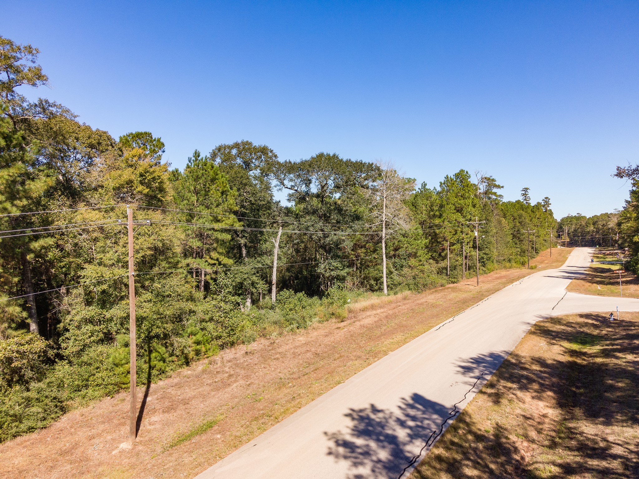127 Inscription Lane Huntsville, TX 77340 - Photo 8 of 16 a view of a city