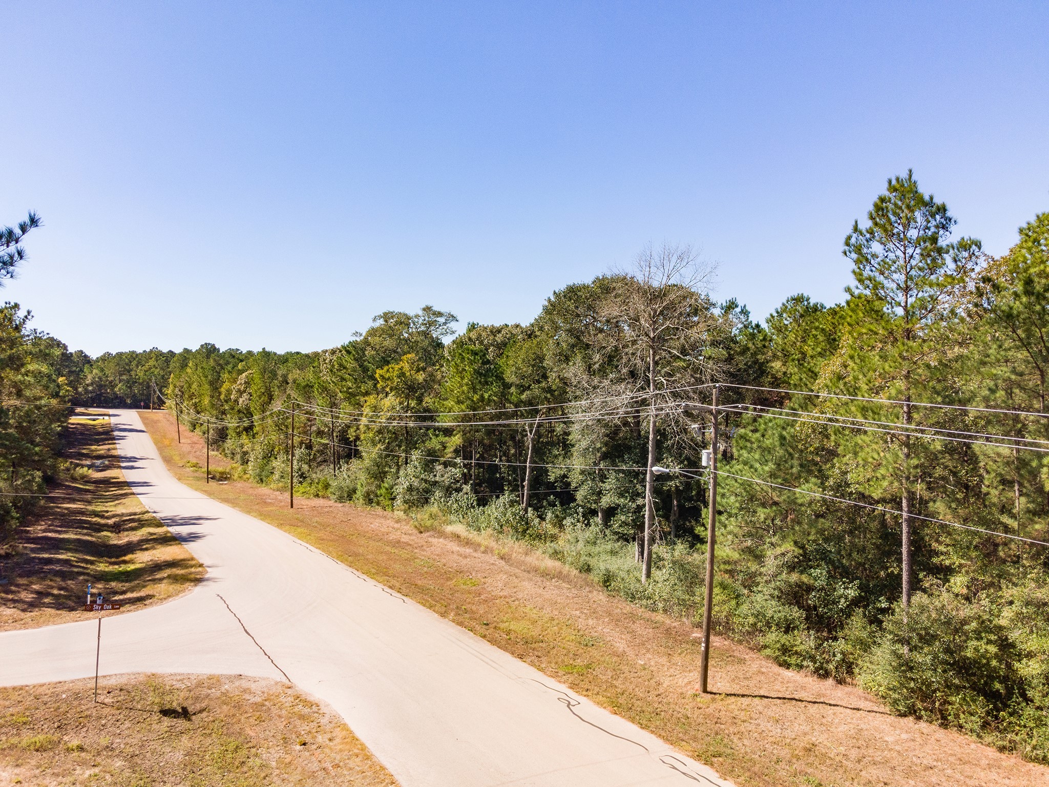 127 Inscription Lane Huntsville, TX 77340 - Photo 9 of 16 a view of a pathway both side of a road