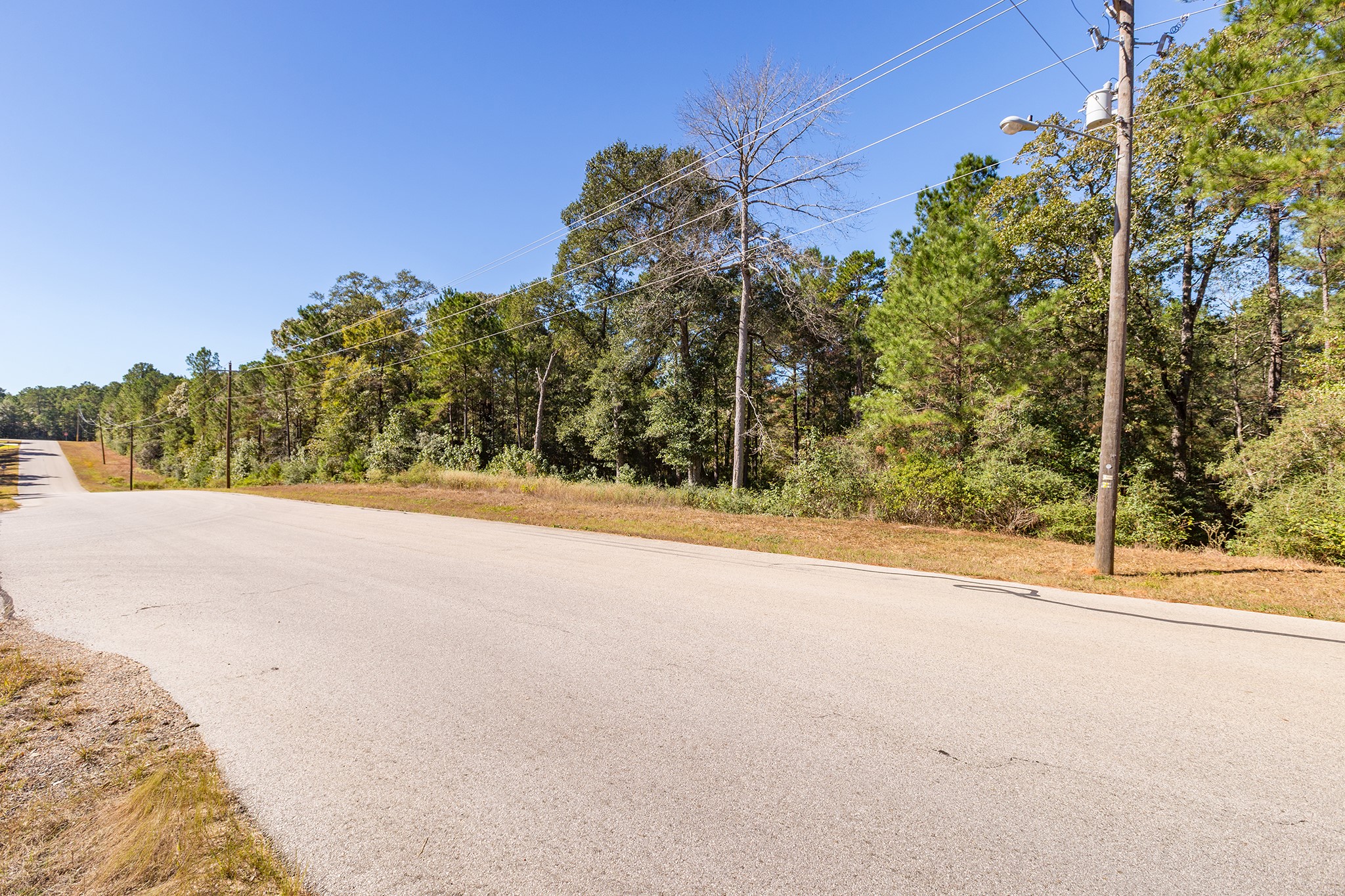 127 Inscription Lane Huntsville, TX 77340 - Photo 10 of 16 a view of a yard and basketball court