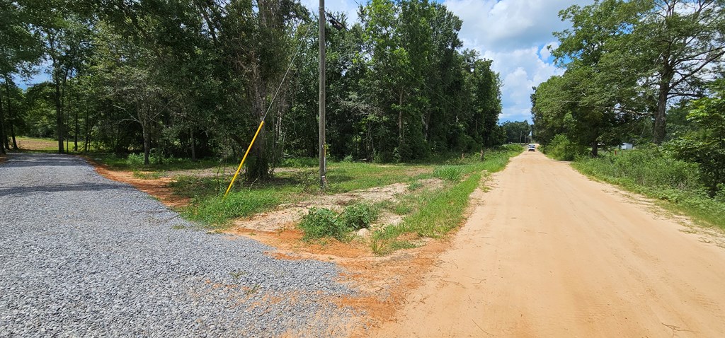 L1 New Hinson Road Slocomb, AL 36375 - Photo 20 of 30