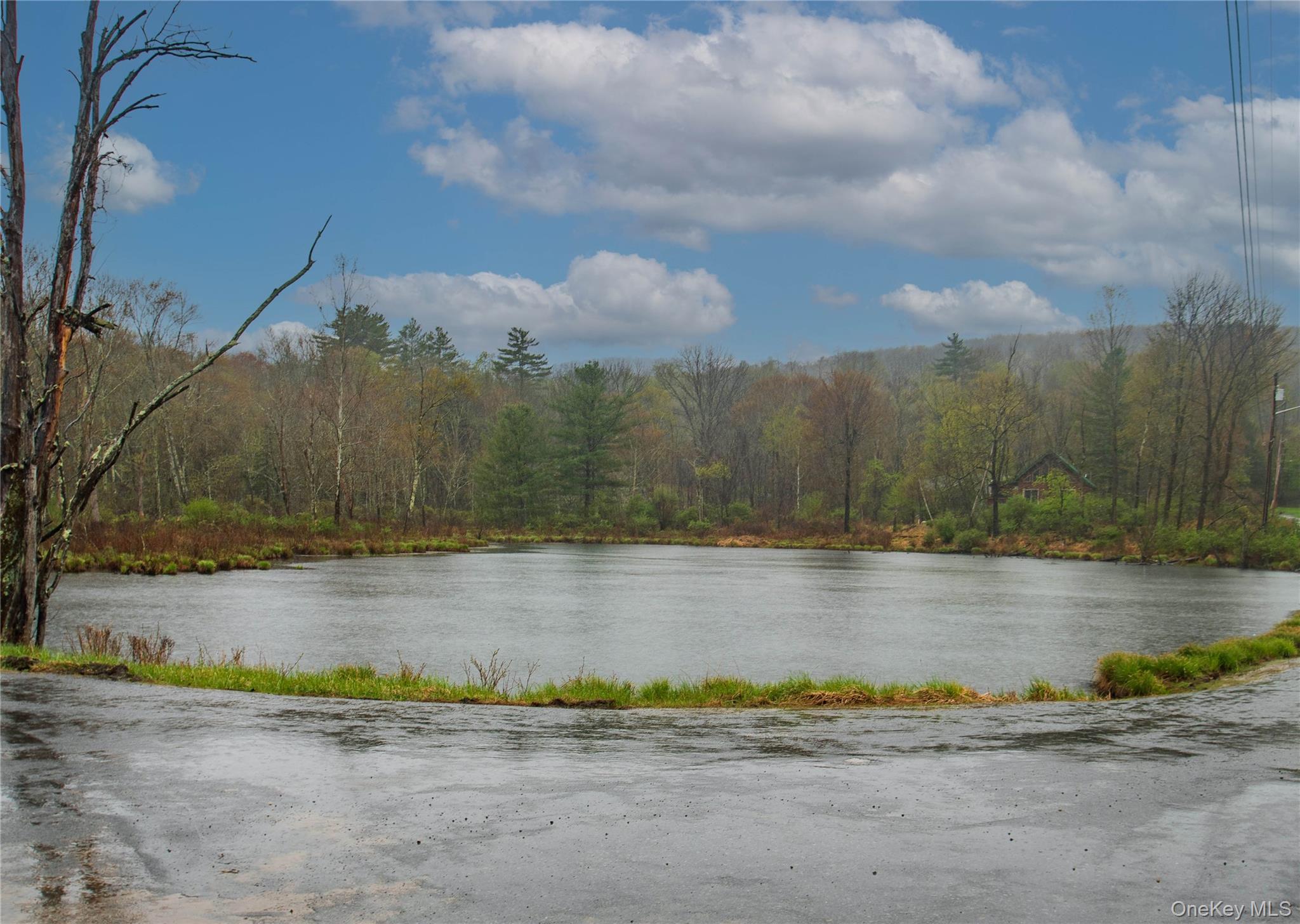 62 Thornton Road Wurtsboro, NY 12790 - Photo 29 of 30 a view of a lake view