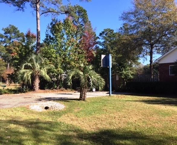 301 Whitesand Road Walterboro, SC 29488 - Photo 18 of 18 JA side