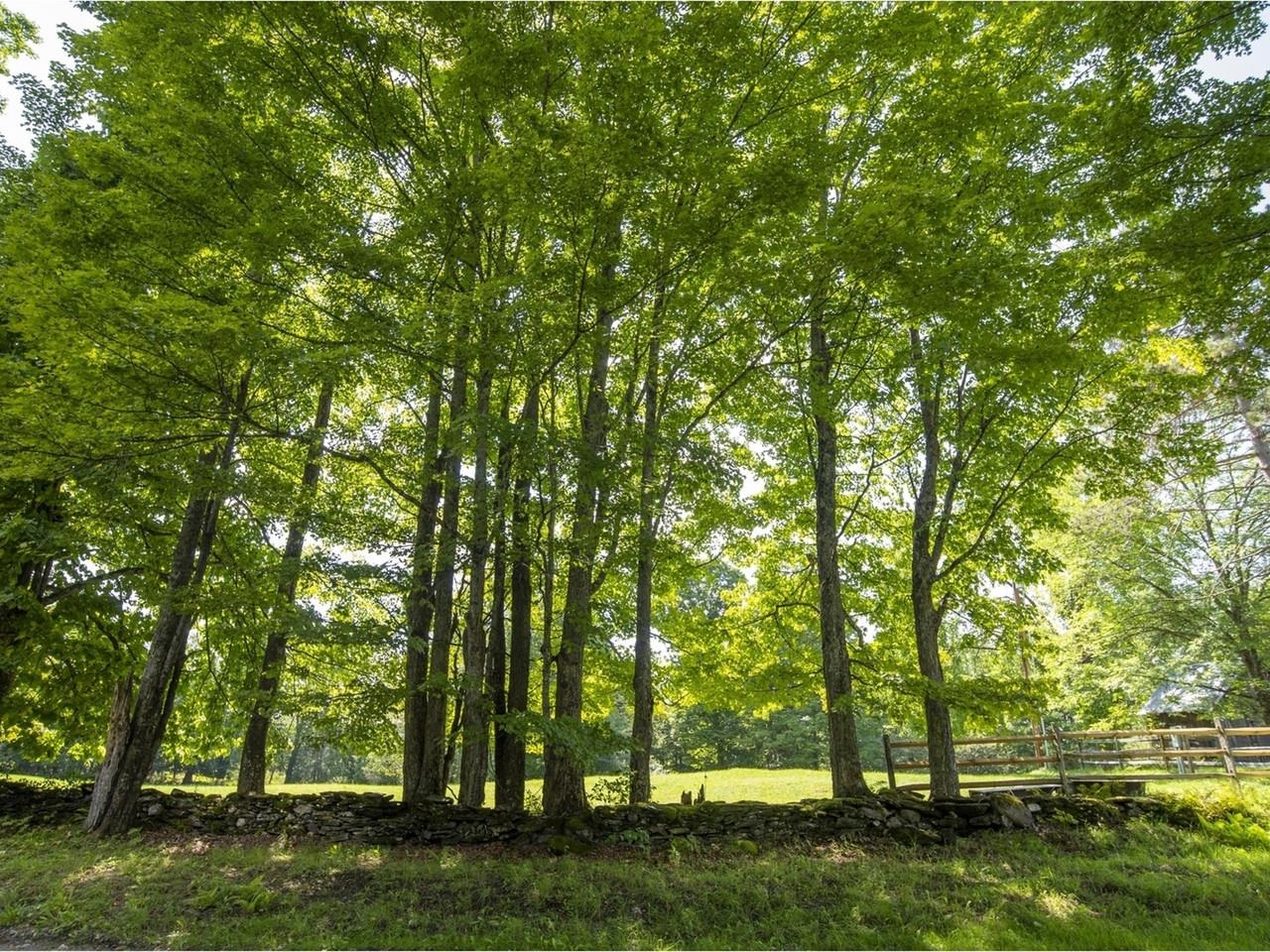 510 Fifers Ride Calais, VT 05650 - Photo 44 of 56