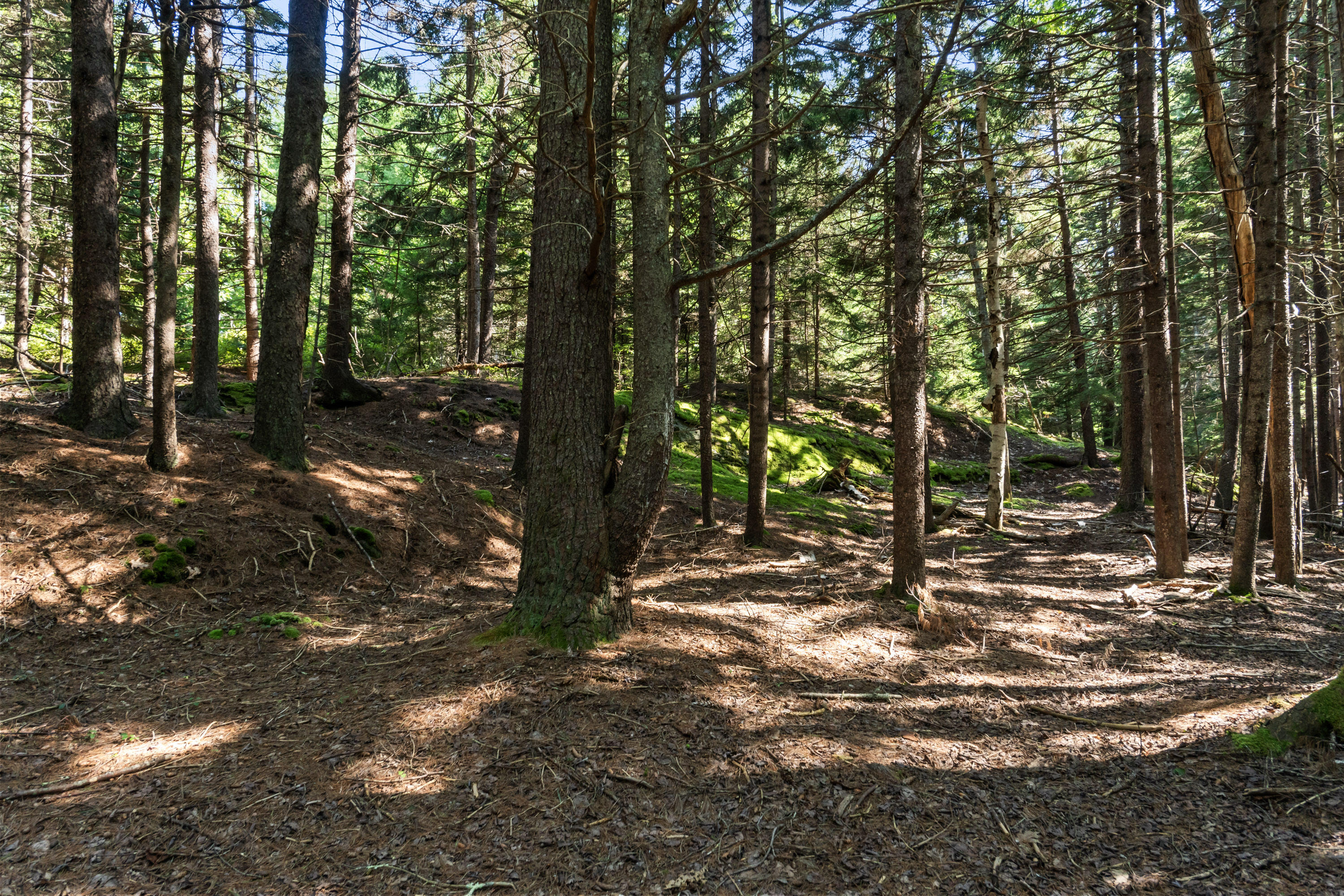 2 Allen Point Road Harpswell, ME 04079 - Photo 4 of 10 Allen Point Rd Lot 145-1_106