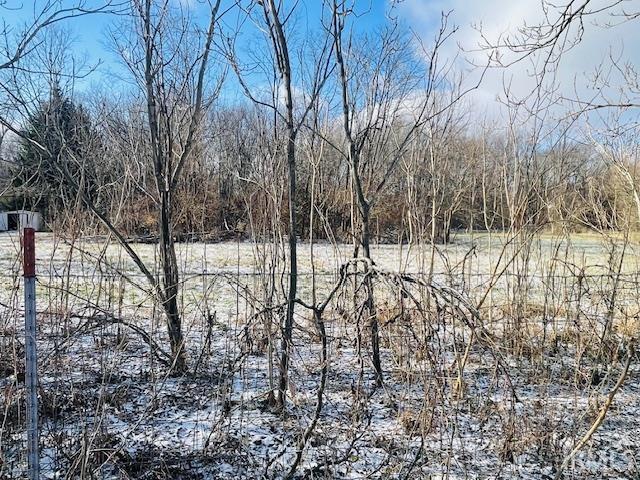 504 South Mill Street Fairmount, IN 46928 - Photo 5 of 14