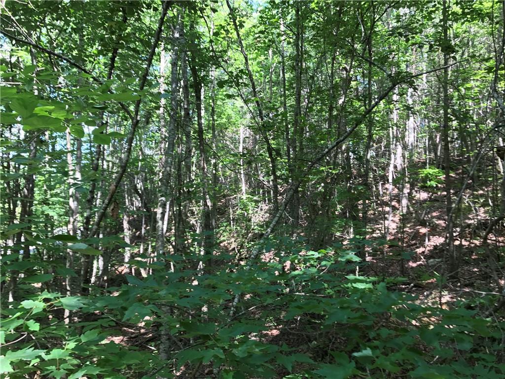 587 East Valley Road Northeast Rydal, GA 30171 - Photo 15 of 18