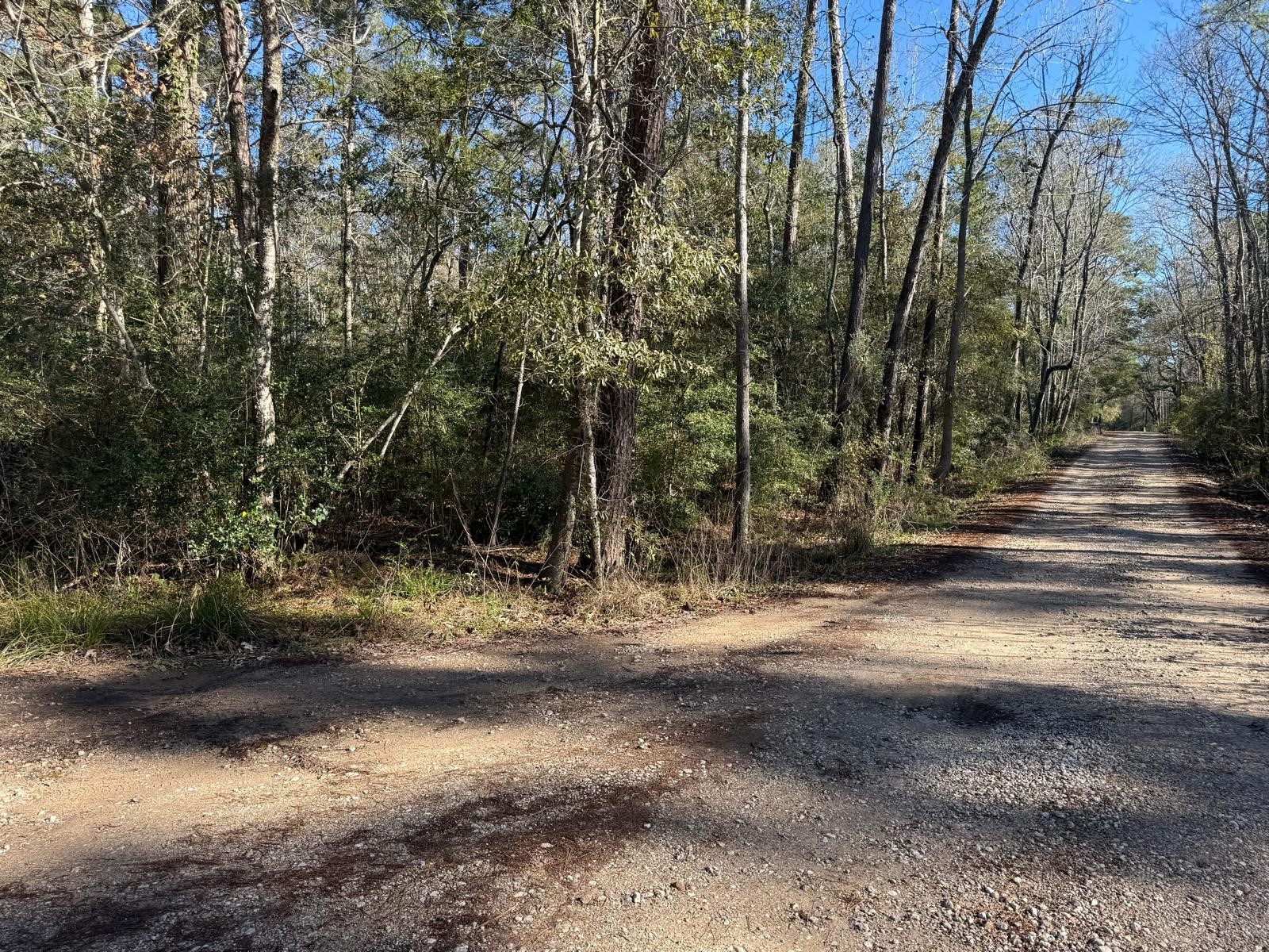 0 Shady Lane Huffman, TX 77336 - Photo 4 of 7 Corner Lot on Shady Ln and Ole Ln