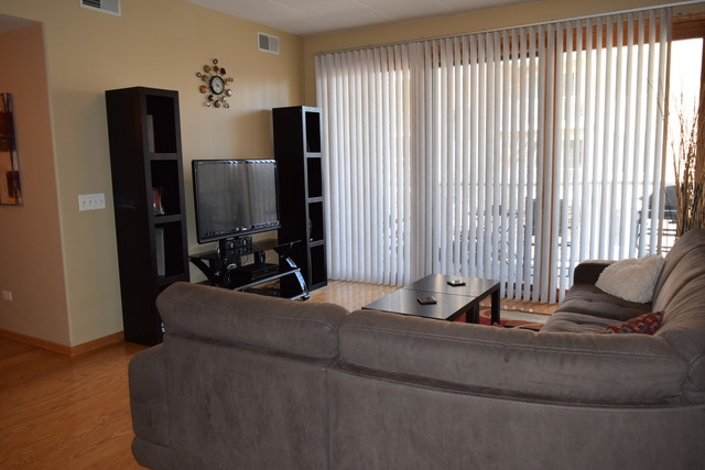 1715 Pavilion Way, Unit 306 Park Ridge, IL 60068 - Photo 3 of 18