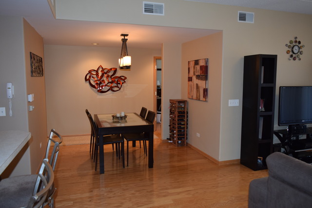 1715 Pavilion Way, Unit 306 Park Ridge, IL 60068 - Photo 4 of 18