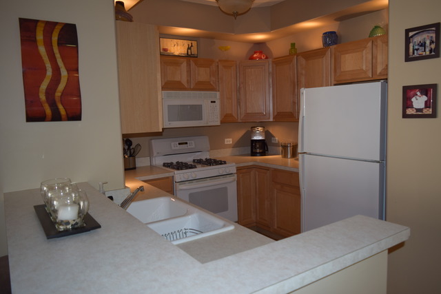 1715 Pavilion Way, Unit 306 Park Ridge, IL 60068 - Photo 6 of 18