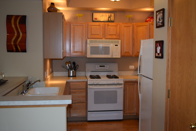 1715 Pavilion Way, Unit 306 Park Ridge, IL 60068 - Photo 7 of 18
