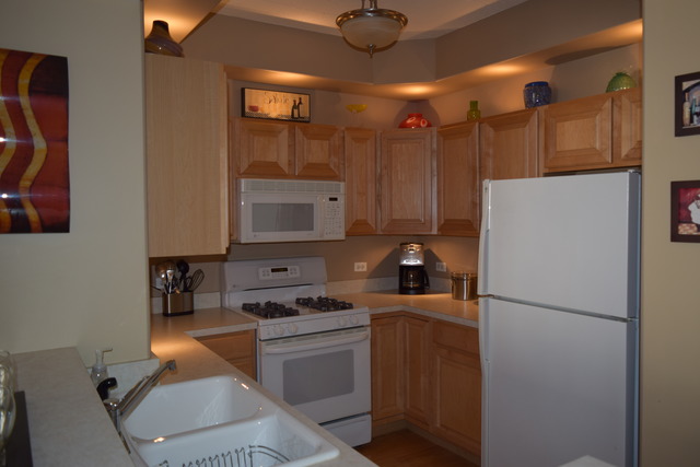 1715 Pavilion Way, Unit 306 Park Ridge, IL 60068 - Photo 8 of 18