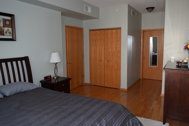 1715 Pavilion Way, Unit 306 Park Ridge, IL 60068 - Photo 9 of 18