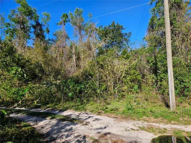 a view of a yard with a tree