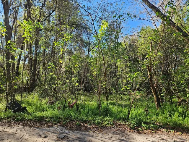 a view of a plants in front of a house