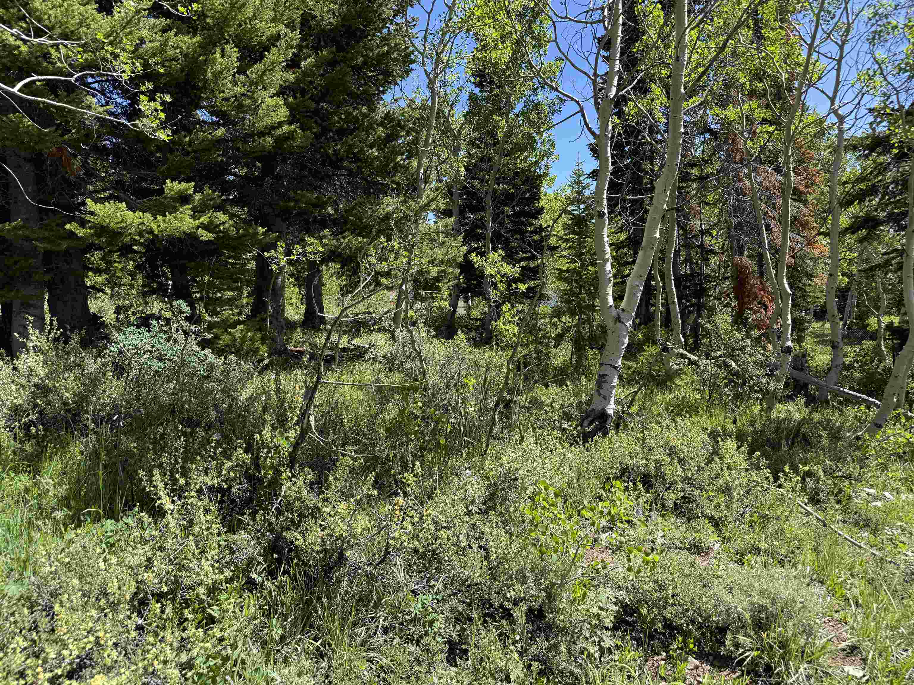 582 Porcupine Road Kemmerer, WY 83101 - Photo 43 of 50