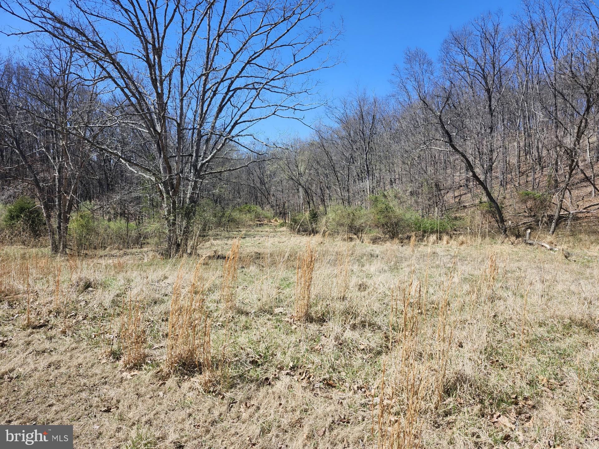 A J Kelley Road Old Fields, WV 26845 - Photo 37 of 65