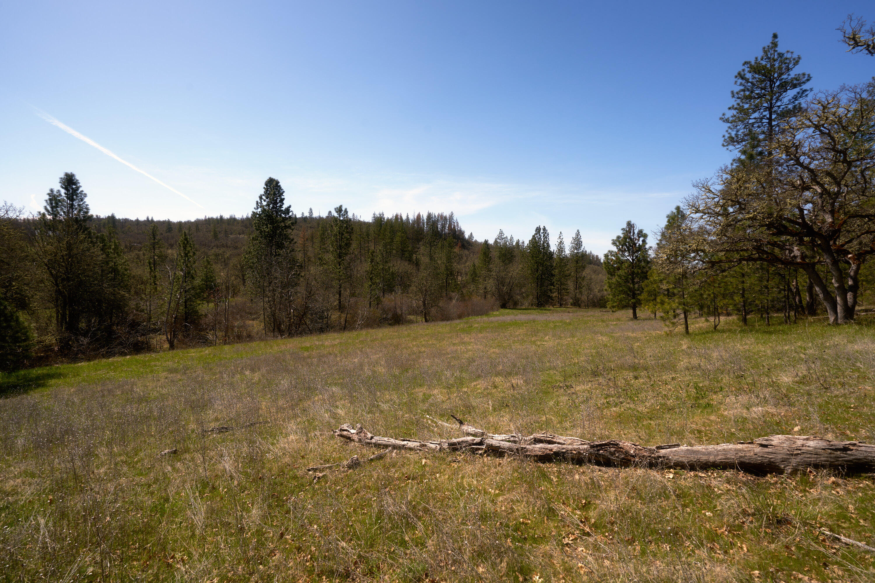 0 Obenchain Road, Unit 1102 Eagle Point, OR 97524 - Photo 6 of 18 1800 S Obenchain_10
