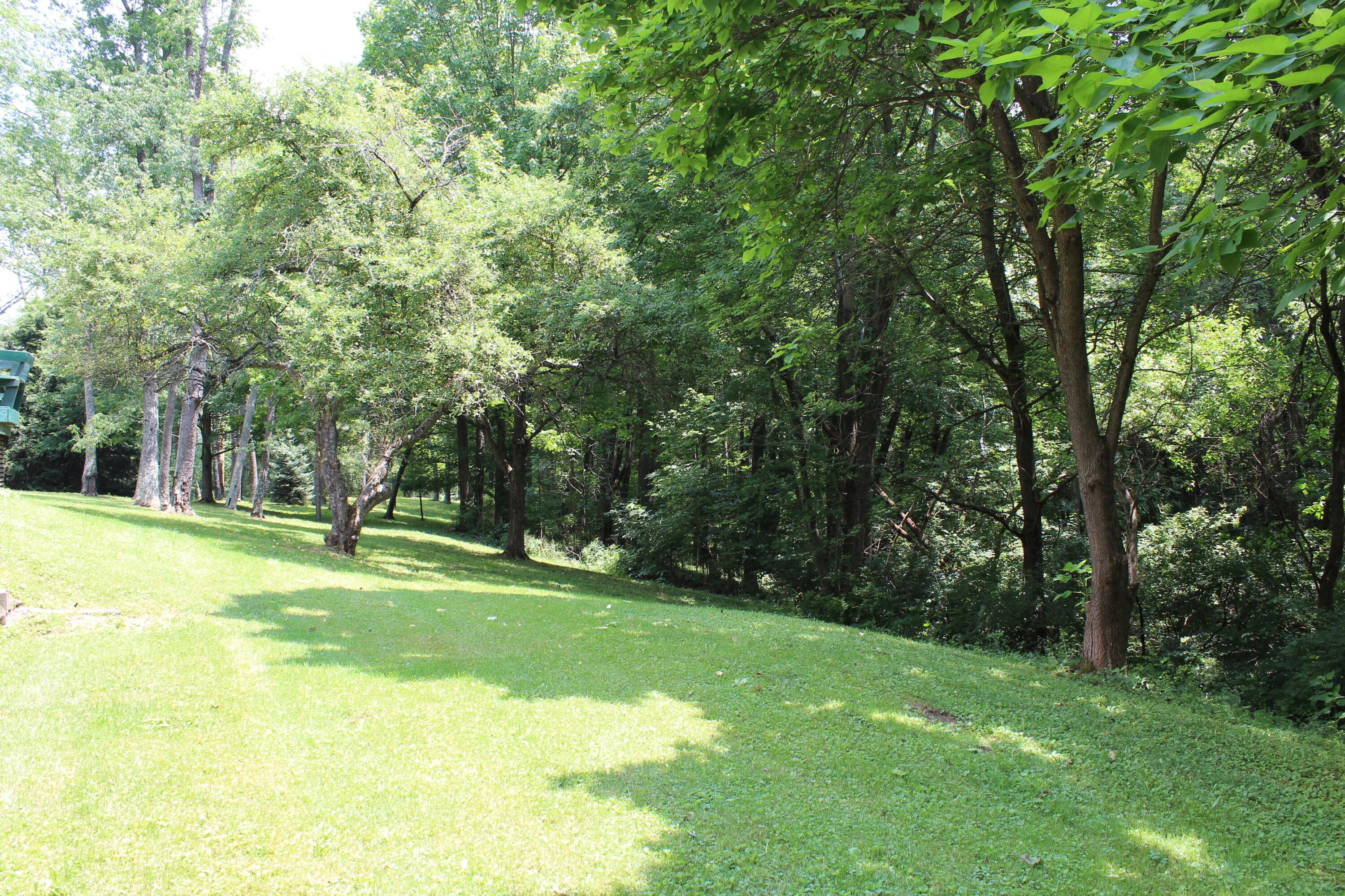 8870 Olentangy River Road Powell, OH 43065 - Photo 21 of 61 IMG_6698