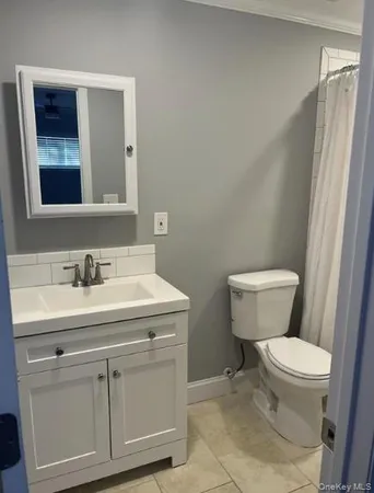 a bathroom with a shower and a toilet