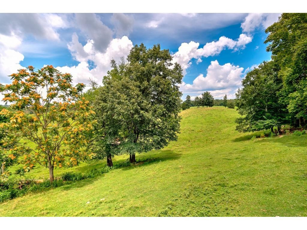 Tbd Couch Road Jonesborough, TN 37659 - Photo 18 of 24 Photo 18