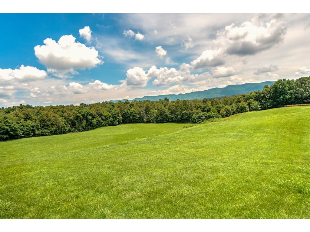 Tbd Couch Road Jonesborough, TN 37659 - Photo 7 of 24 Photo 7