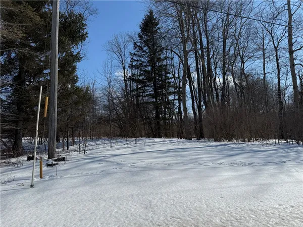 $29,900 | 0 Rt-39, Bliss, NY 14024