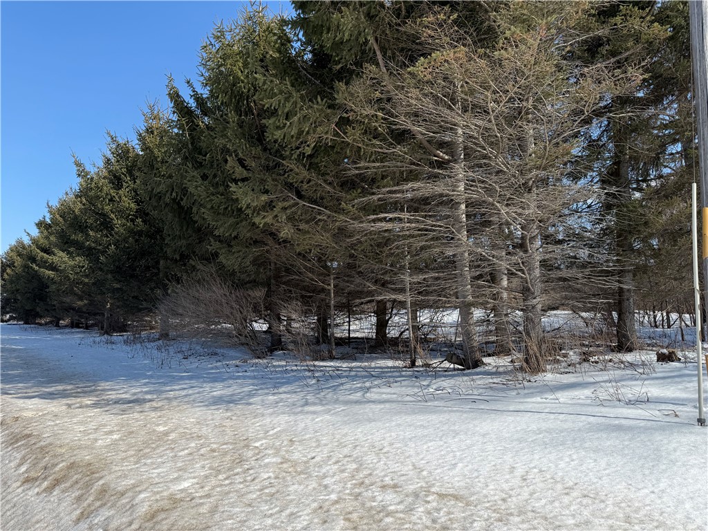 0 Rt-39 Bliss, NY 14024 - Photo 12 of 15