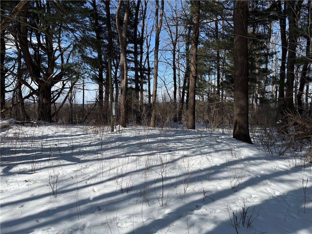 0 Rt-39 Bliss, NY 14024 - Photo 4 of 15