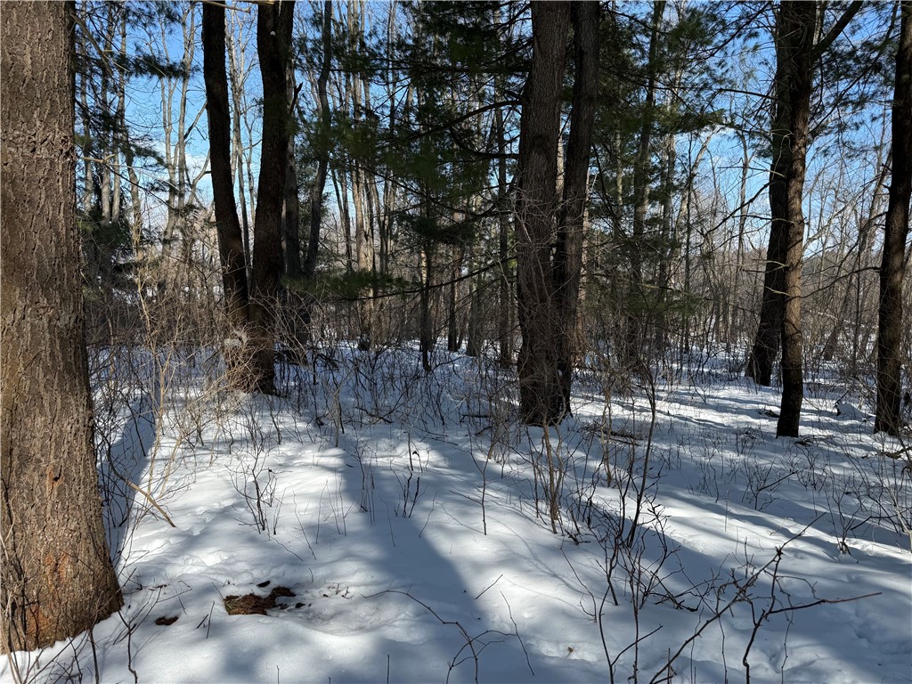 0 Rt-39 Bliss, NY 14024 - Photo 5 of 15