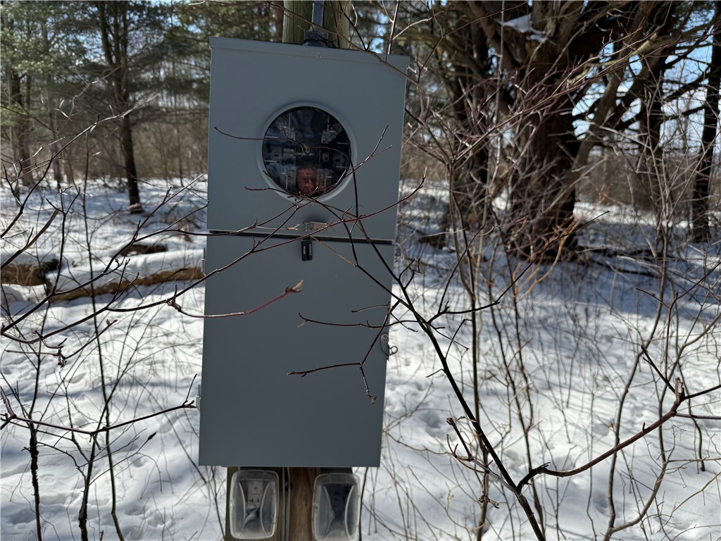 0 Rt-39 Bliss, NY 14024 - Photo 6 of 15