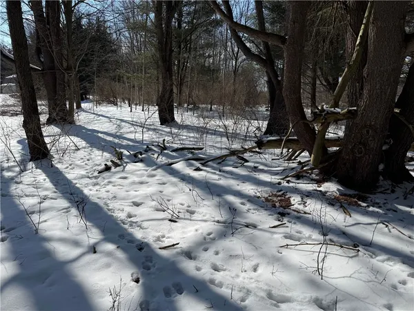 $29,900 | 0 Rt-39, Bliss, NY 14024