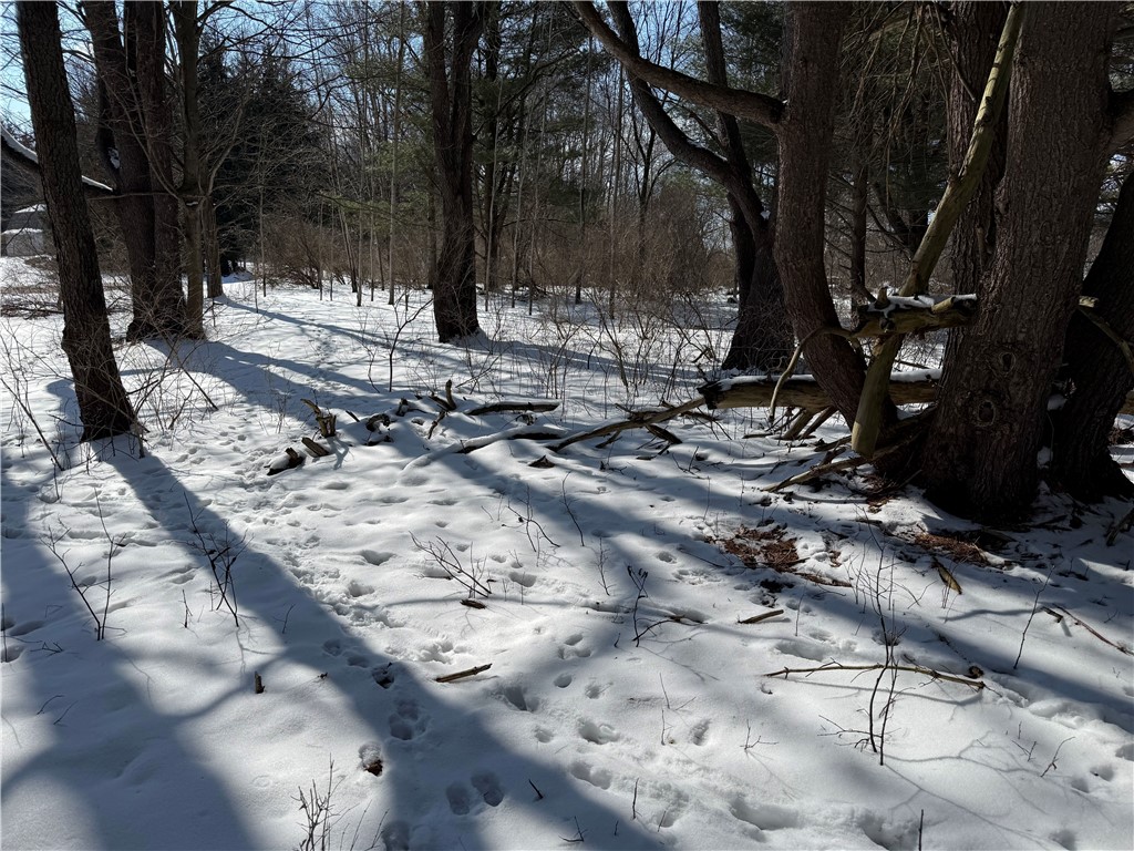 0 Rt-39 Bliss, NY 14024 - Photo 7 of 15