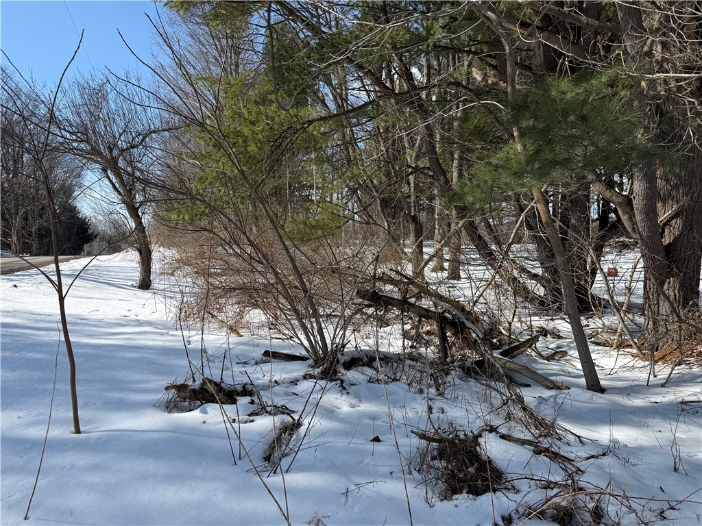 0 Rt-39 Bliss, NY 14024 - Photo 9 of 15