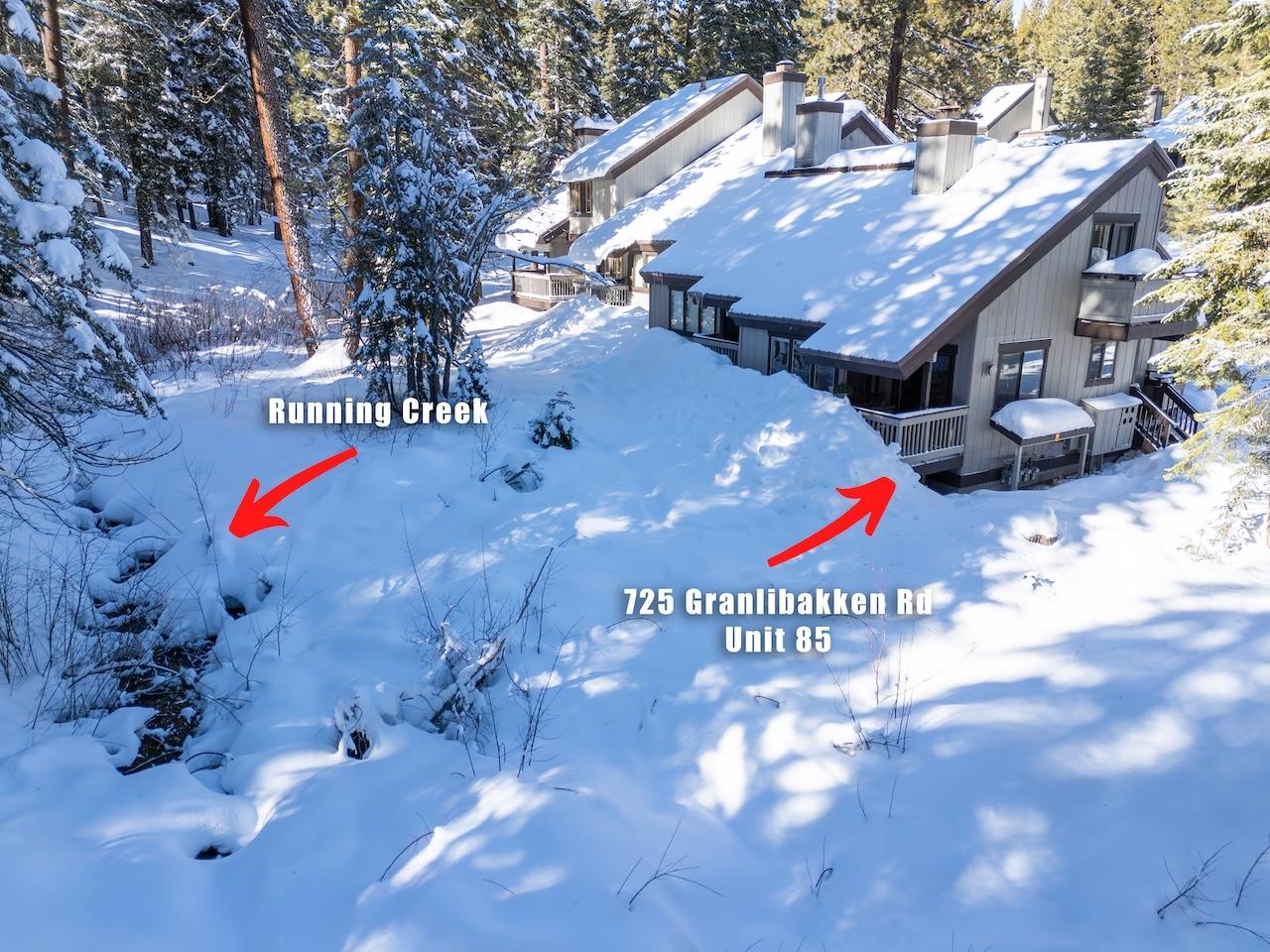 725 Granlibakken Road, Unit 85 Tahoe City, CA 96145 - Photo 3 of 21