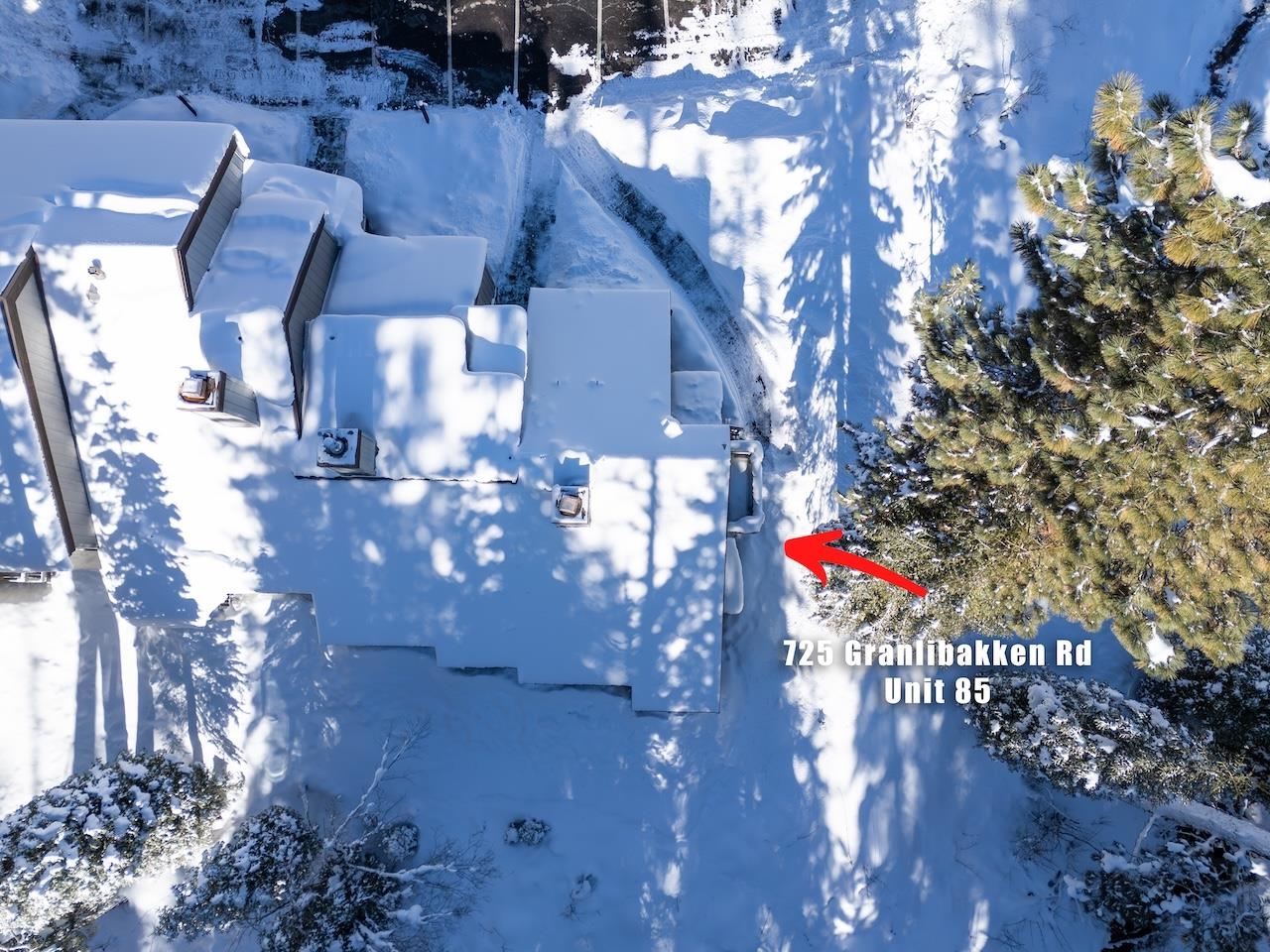 725 Granlibakken Road, Unit 85 Tahoe City, CA 96145 - Photo 4 of 21