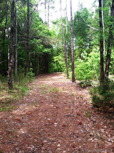 0 Woodberry Road Catawba, SC 29704 - Photo 14 of 17 a view of a yard with large trees