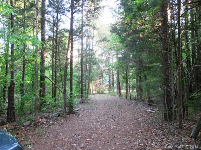 0 Woodberry Road Catawba, SC 29704 - Photo 8 of 17 a view of a forest with trees in the background