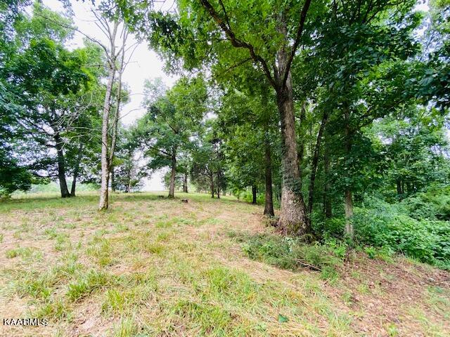 2254 Barger Road Parrottsville, TN 37843 - Photo 23 of 41 IMG_5099